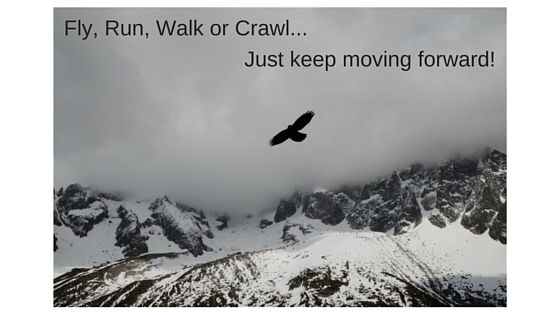 Fly, Run, Walk or Crawl